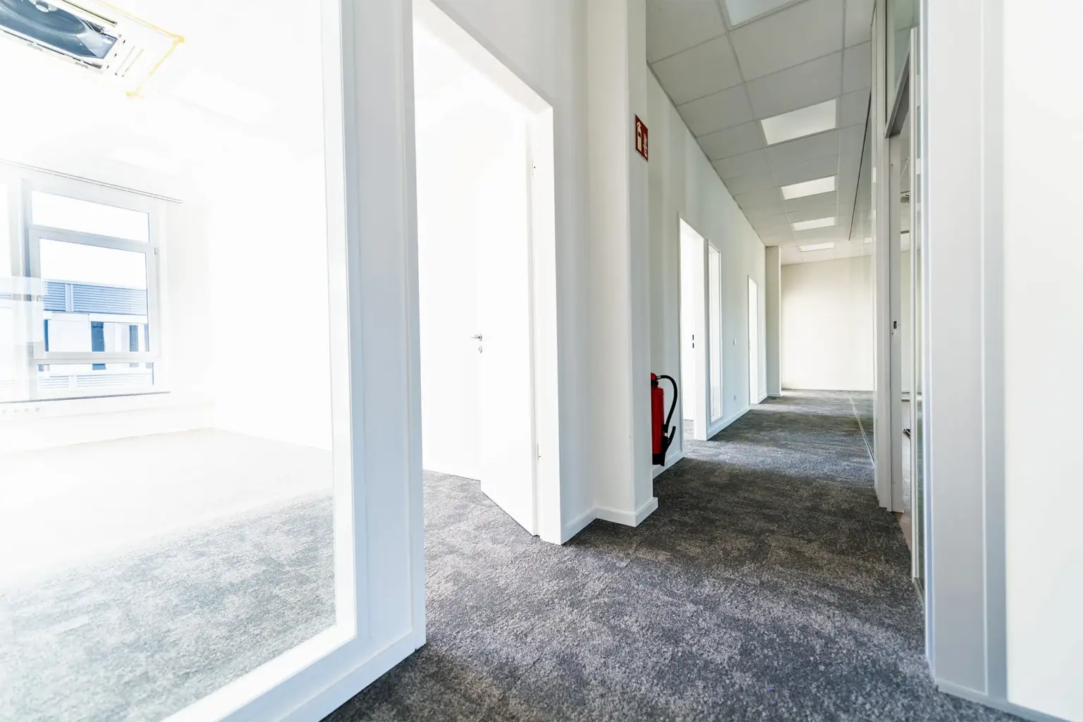 Büroflure mit viel Tageslicht, moderner Arbeitsbereich, helle Innenräume.